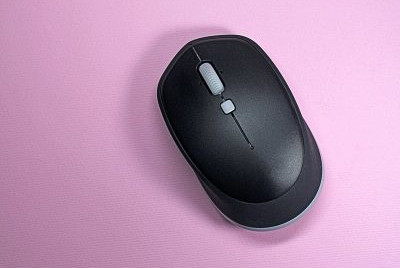 Mouse
